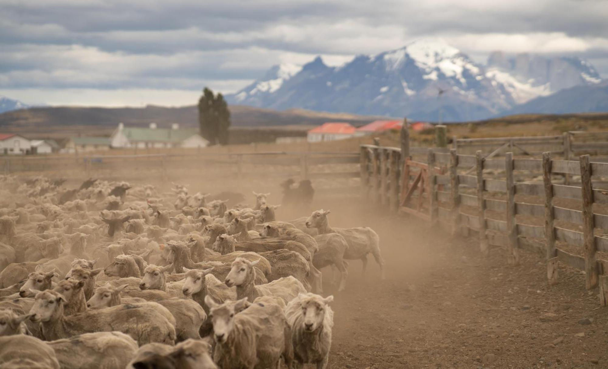 Estancia Cerro Guido Torres del Paine National Park Zewnętrze zdjęcie