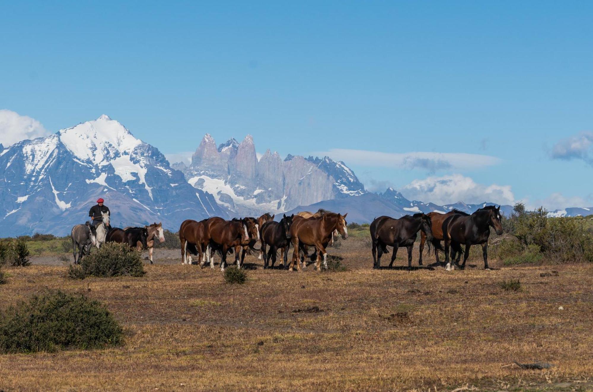 Estancia Cerro Guido Torres del Paine National Park Zewnętrze zdjęcie